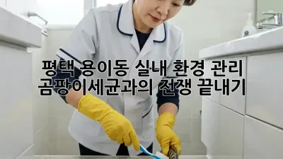 평택 용이동 실내 환경 관리: 곰팡이&세균과의 전쟁 끝내기!