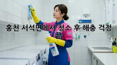 홍천 서석면에서 청소 후 해충 걱정 끝!